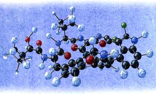 Diazonamide
		A molecule