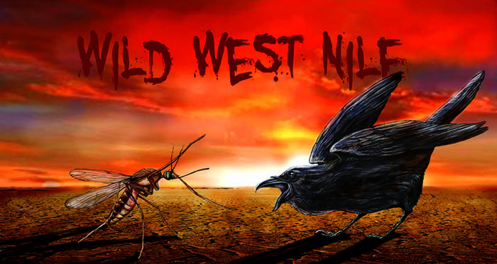 west nile feature image