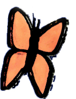 butterfly 2