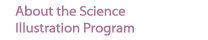 science illustration program