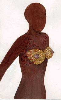 A DIAGRAM OF BREAST CIRCULATORY AND  LYMPH SYSTEM.
