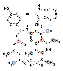 Jaspis johnstoni chemical structure