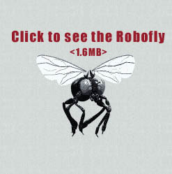 Click to see the Robofly (1.6mb)